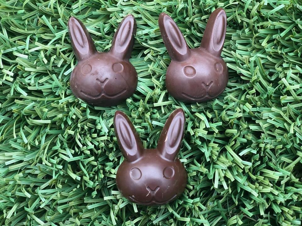 Chocolate bunnies that benefit the Rabbit Haven! The Rabbit Haven